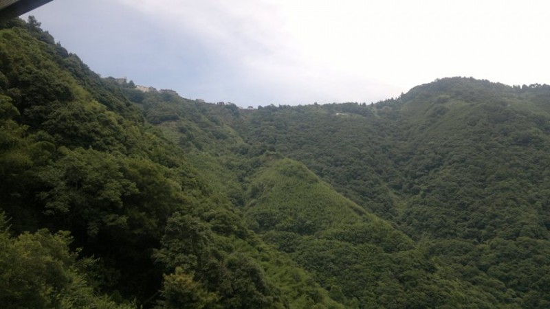 20120710032.jpg